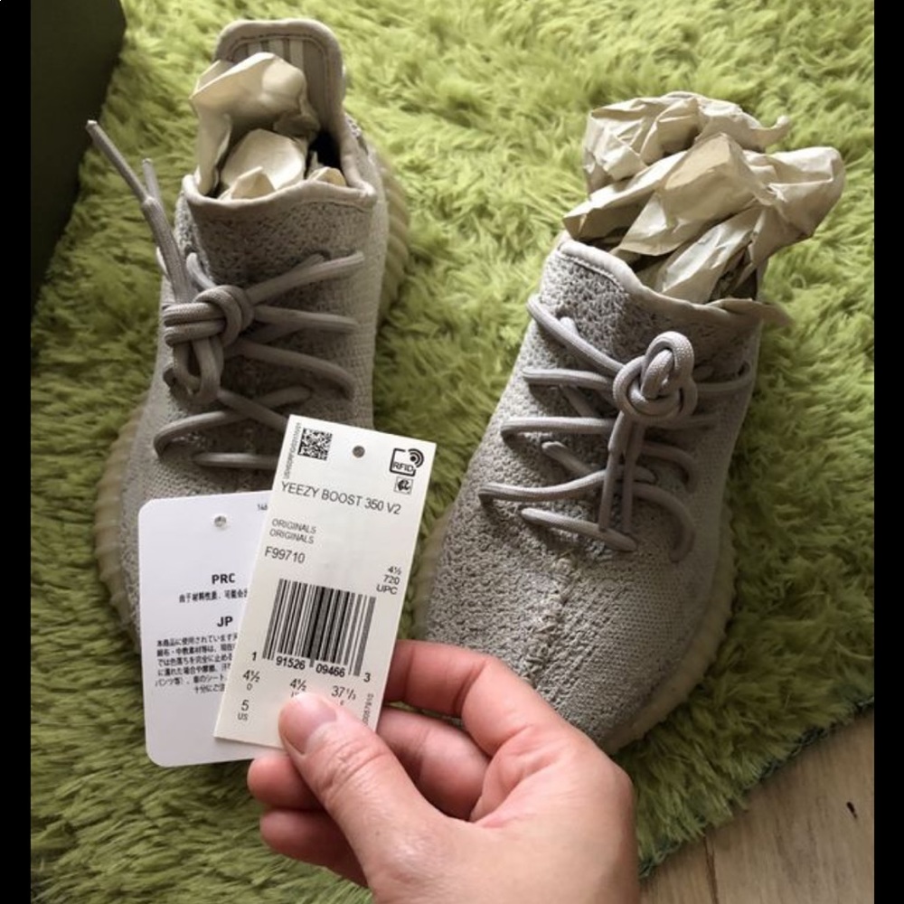 Yeezy boost 350 v2